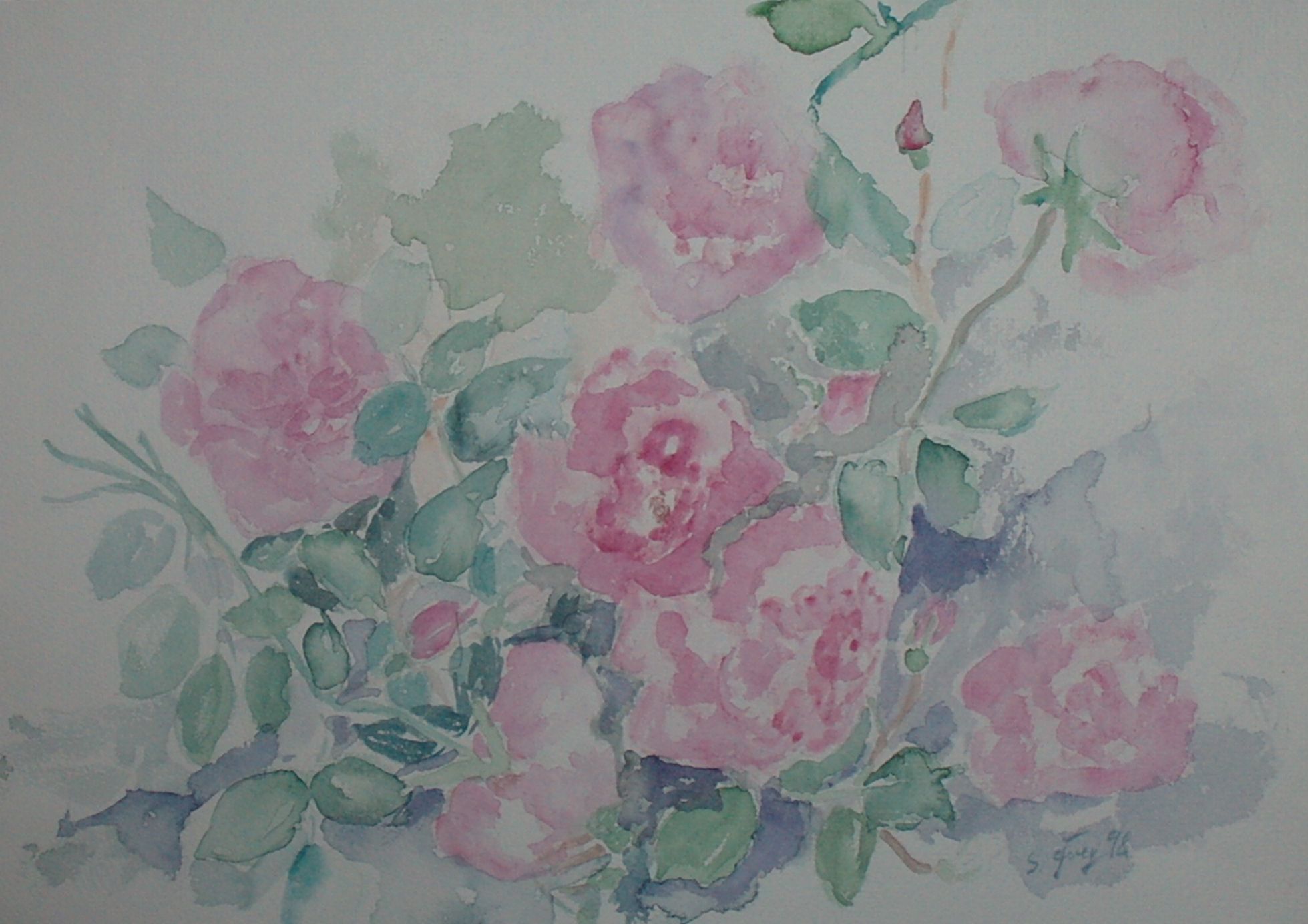 Rosen